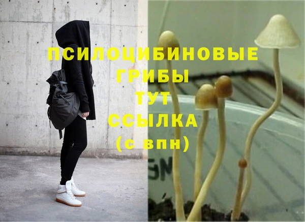 кокаин премиум Арсеньев