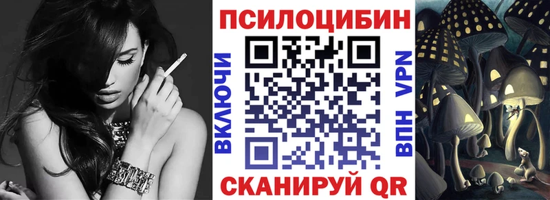 Галлюциногенные грибы Psilocybine cubensis  Ртищево 