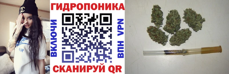 Марихуана план  продажа наркотиков  darknet как зайти  Ртищево 
